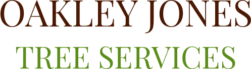 Oakley Jones Tree Services - Tree Surgeon Faversham